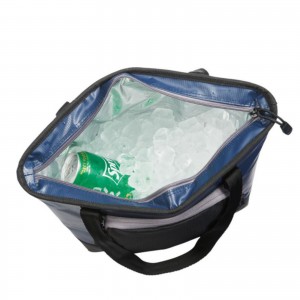 Titan 2-day ThermaFlect® lunch cooler bag
